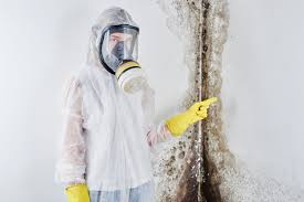 Best Biohazard Mold Removal  in Middlefield, OH